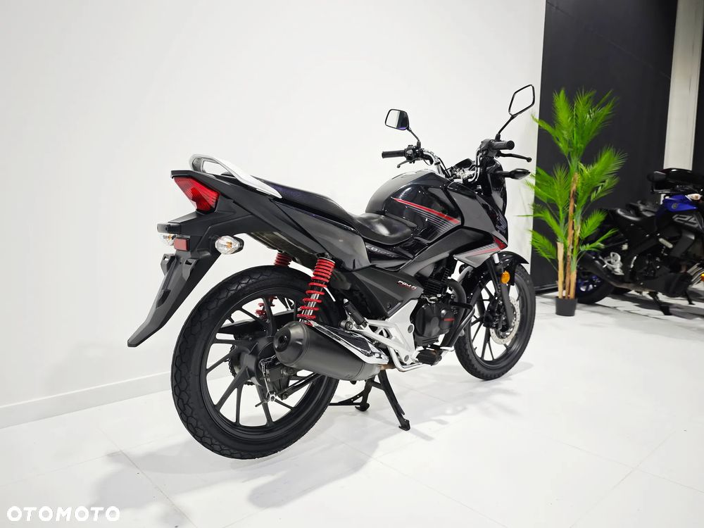 Honda CBF - 6