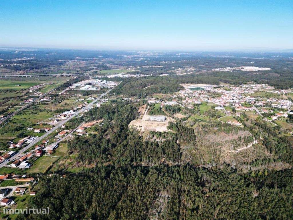 Lote de terreno de 60841m2 com armazém de 1200m2, em Pelariga, Pomb... - Grande imagem: 4/59