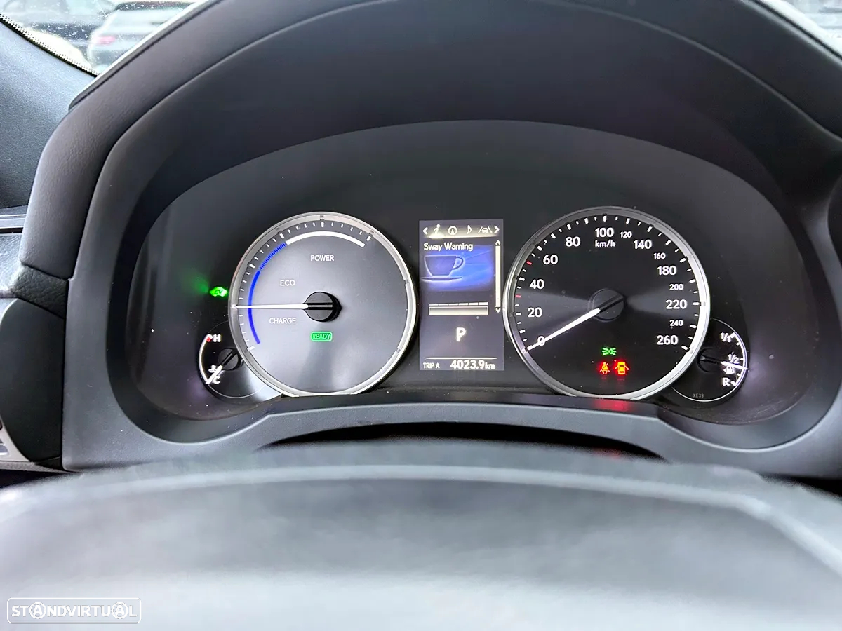 Lexus RC 300h Luxury - 17