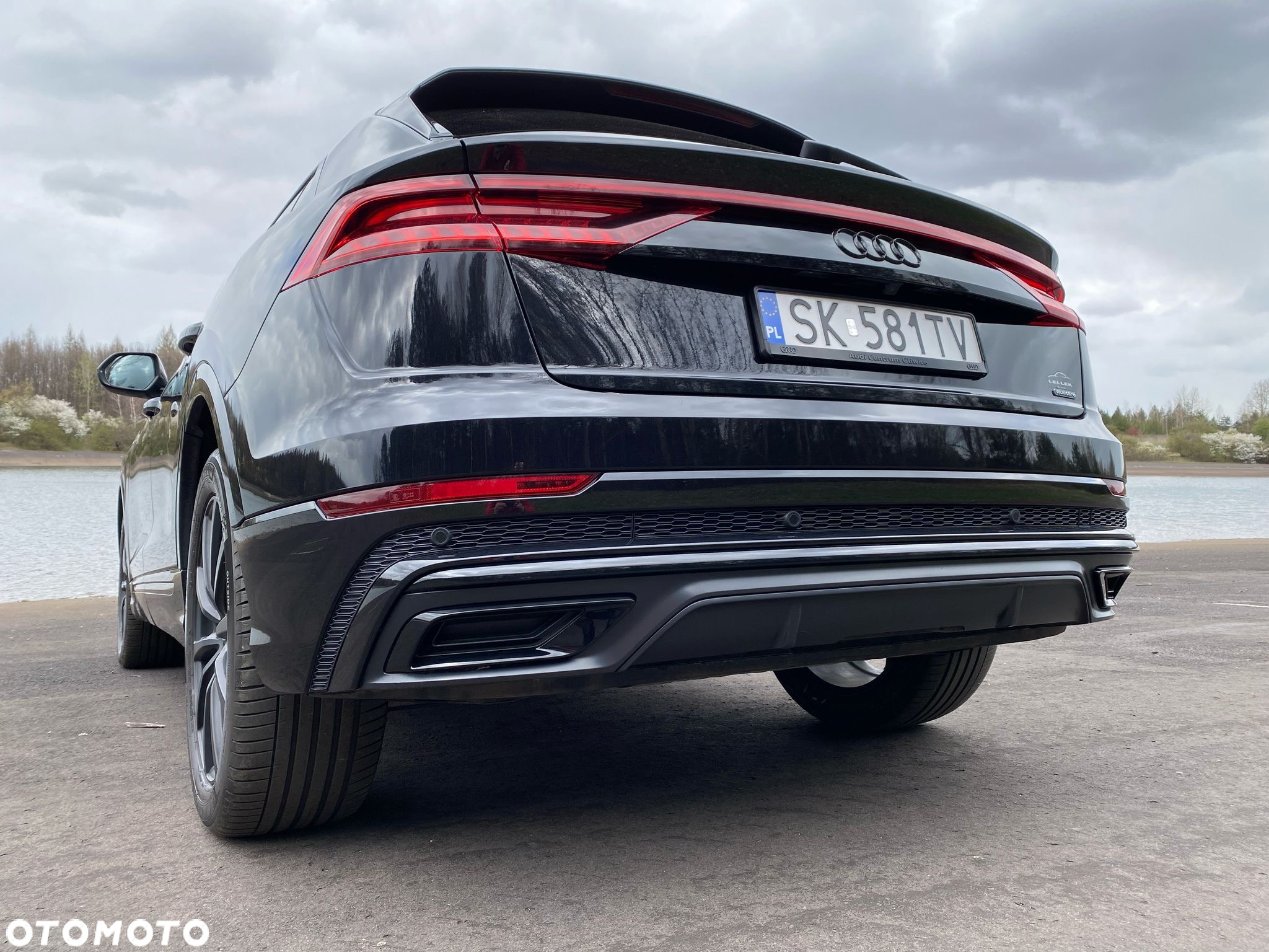 Audi Q8 - 8