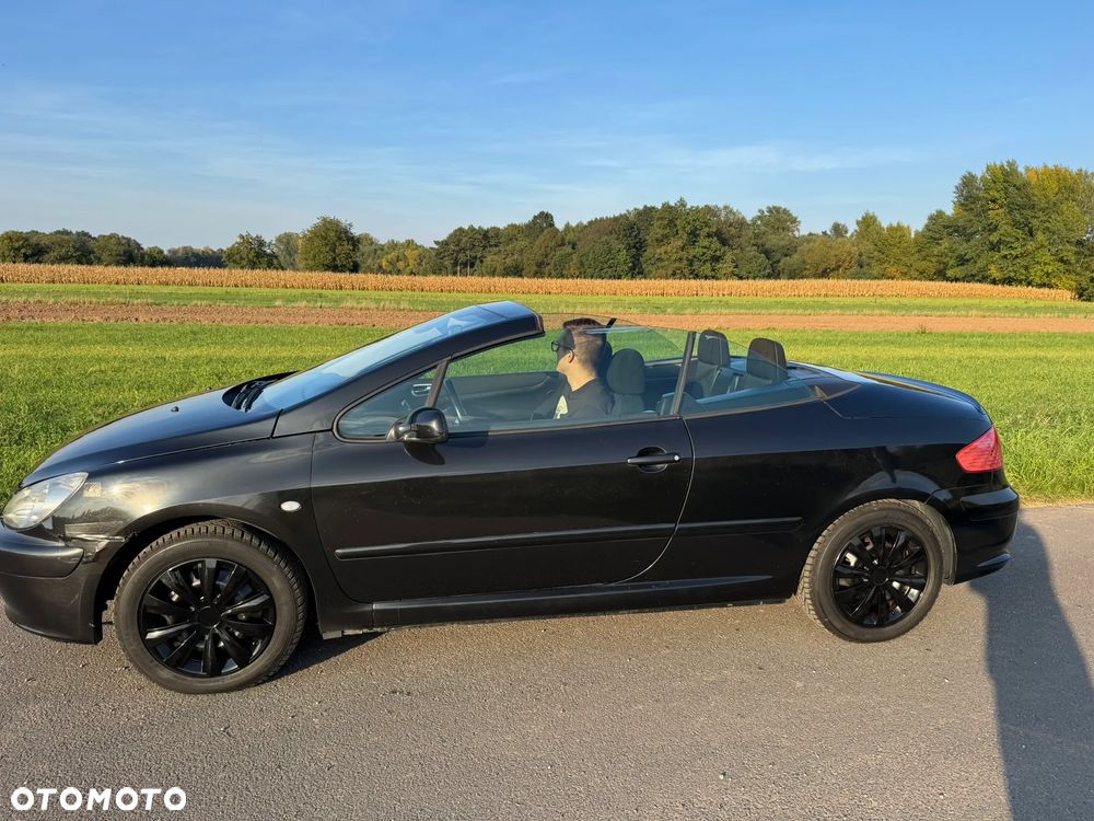Peugeot 307 CC 2.0 - 12