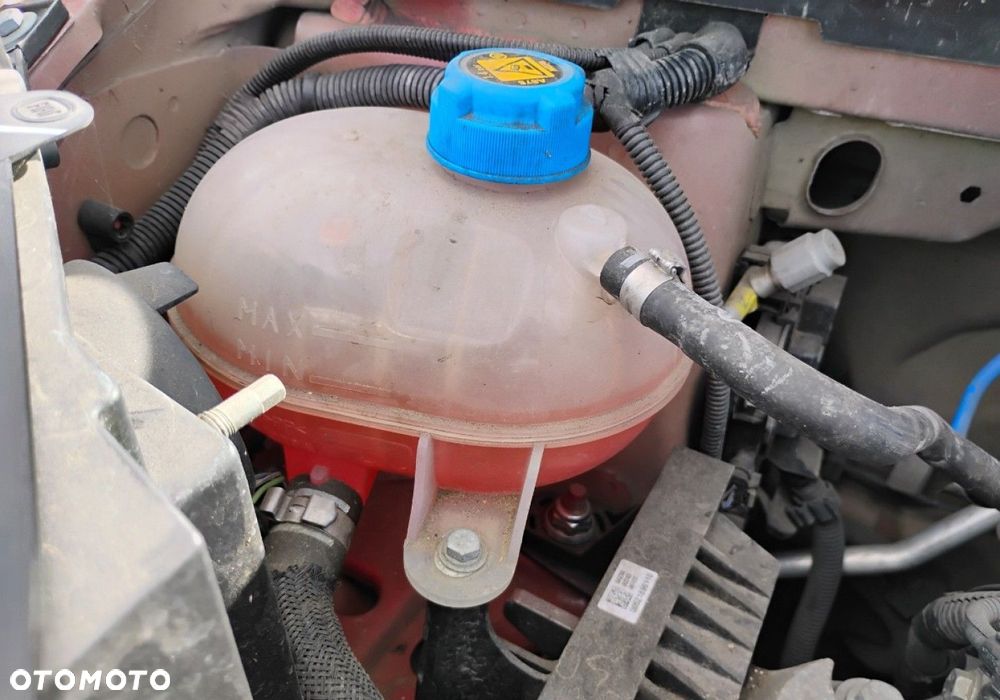 Fiat Panda - 21