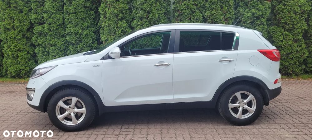 Kia Sportage - 6