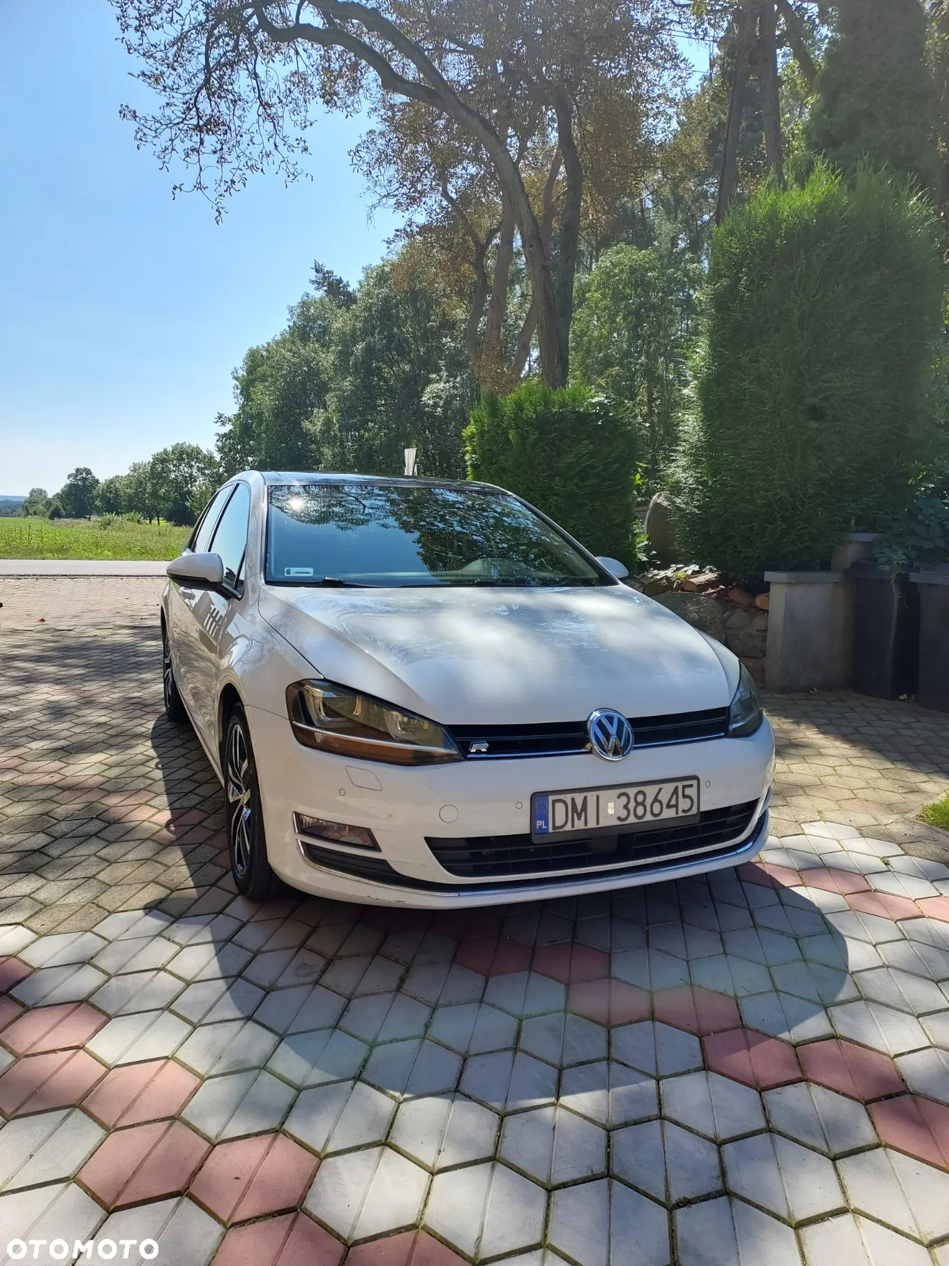 Volkswagen Golf 2.0 TDI 4Motion BlueMotion Technology Allstar - 3