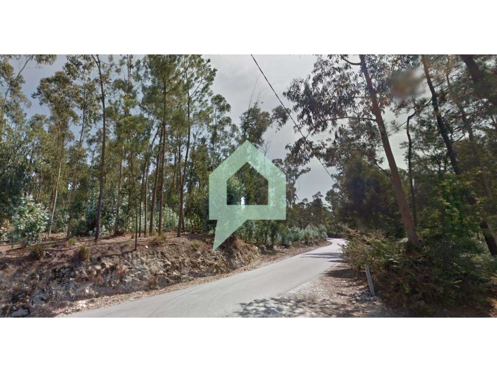 Terreno rústico com 13.000 m² em Alvito (São Pedro e São Martinho) ... - Grande imagem: 3/15