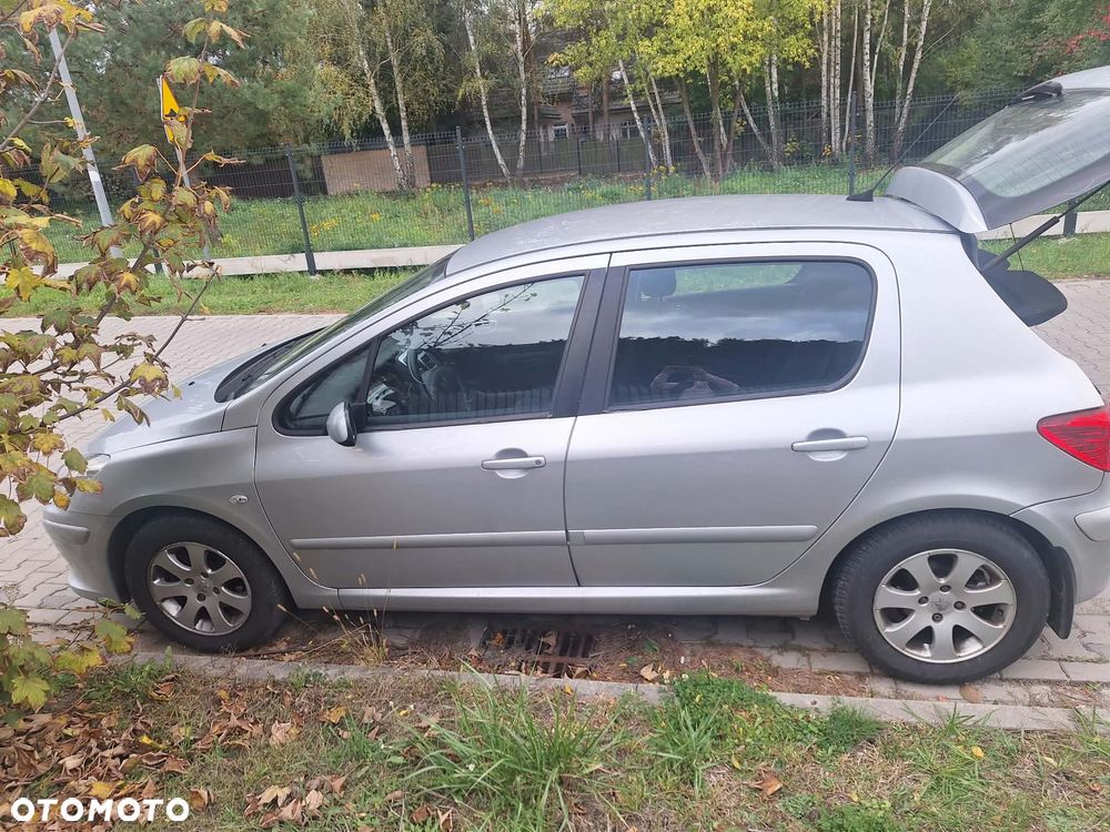 Peugeot 307 - 5