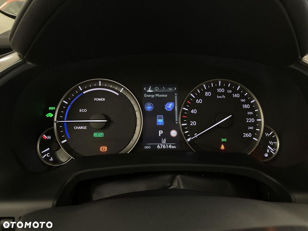 Lexus RX 450h F-Impression - 21