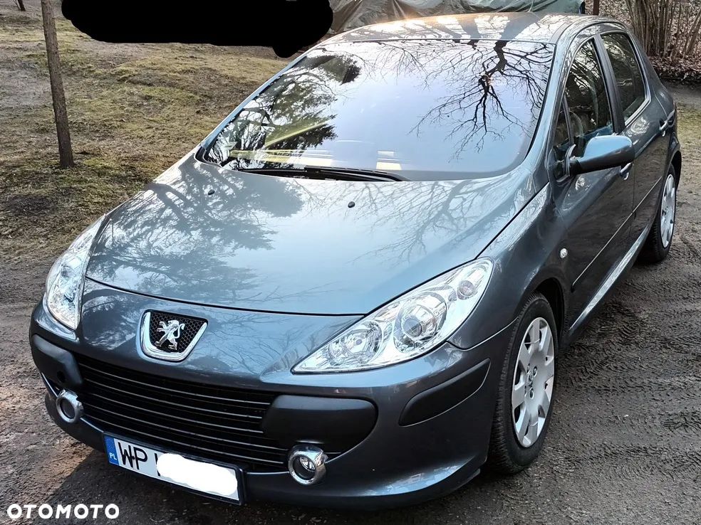 Peugeot 307 1.6 HDi - 2