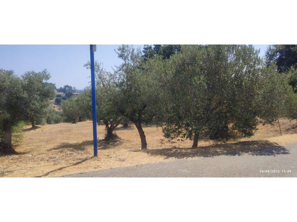 Terreno urbano, com localização de excelência, a poucos minutos da ... - Grande imagem: 3/13