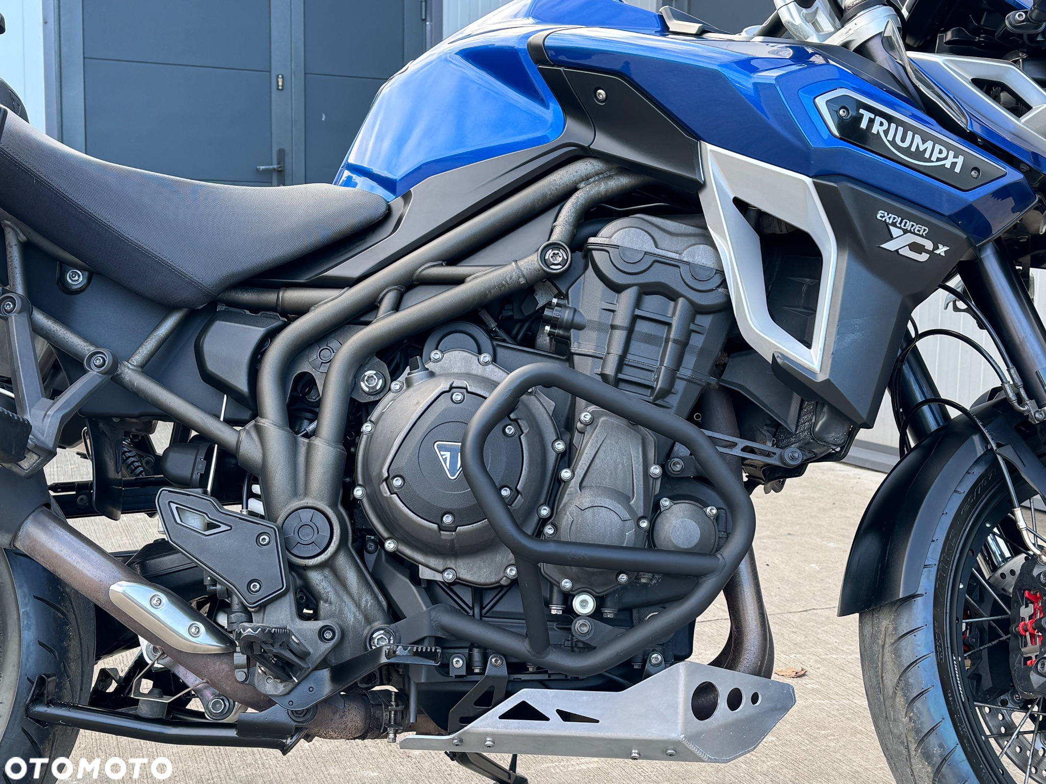 Triumph Tiger - 6