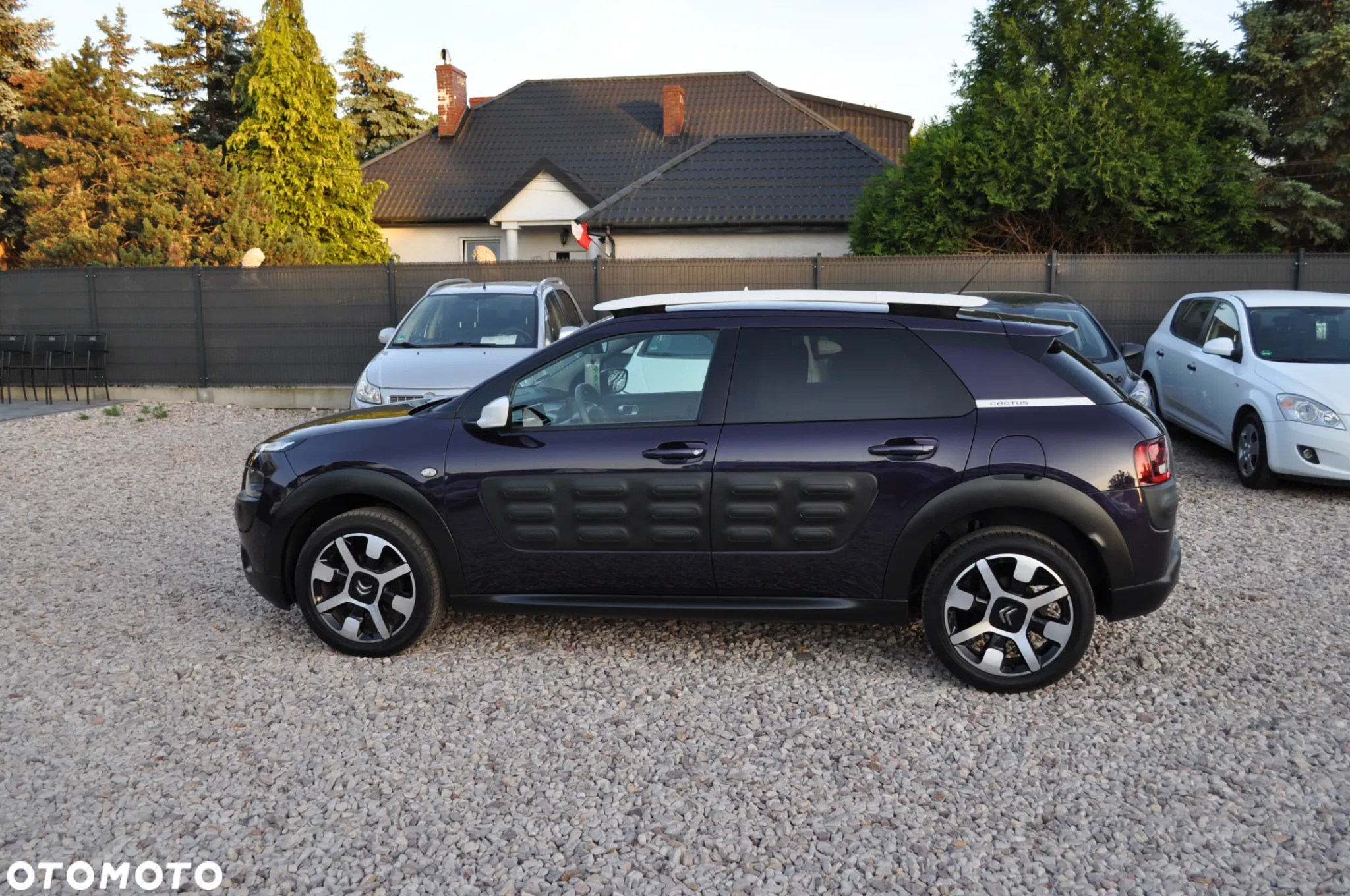 Citroën C4 Cactus 1.2 PureTech Shine S&S - 10