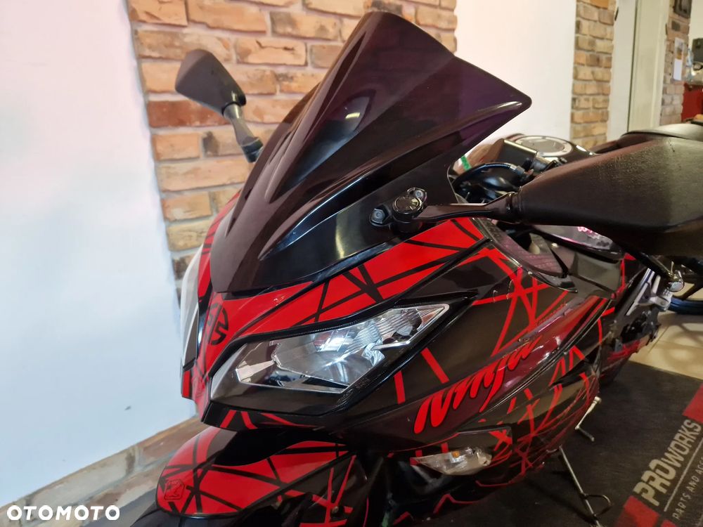 Kawasaki Ninja 300 ABS - 18