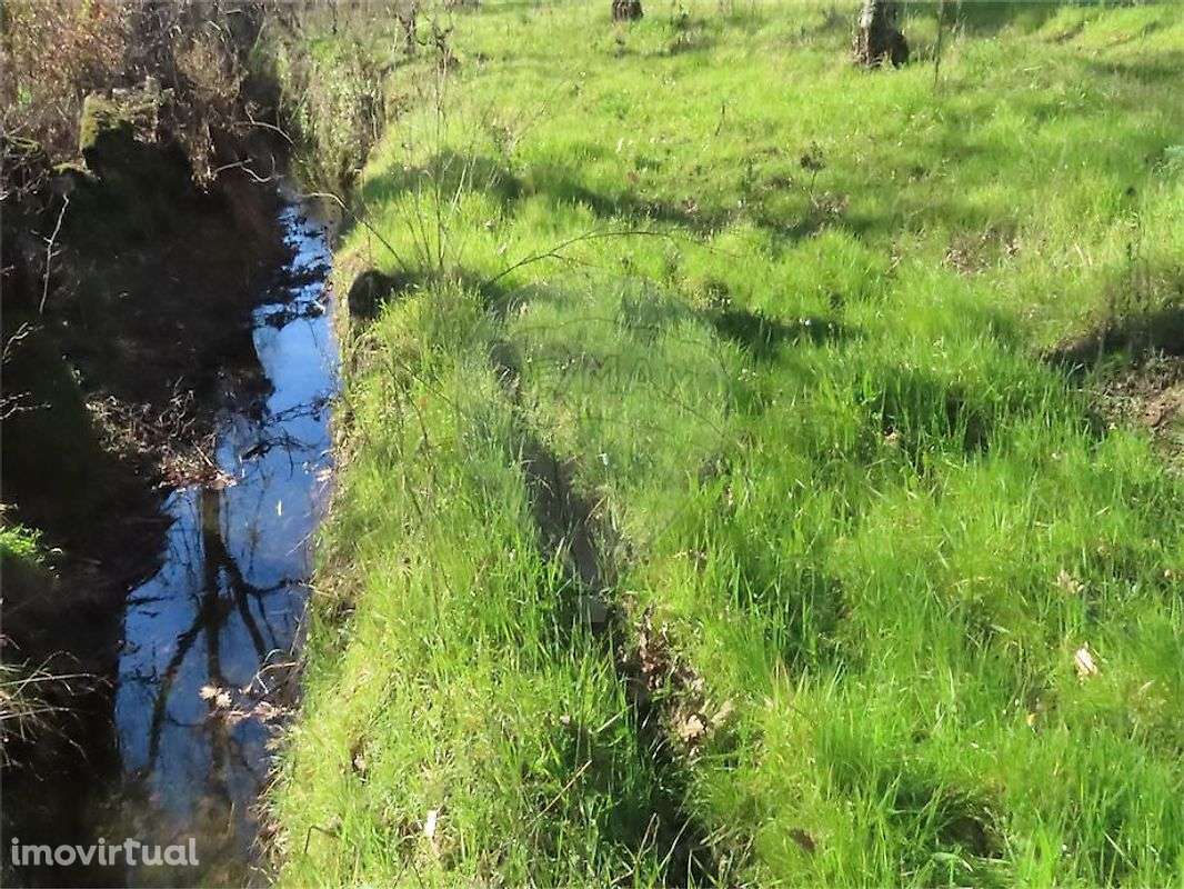 Quinta  para venda - Grande imagem: 5/36