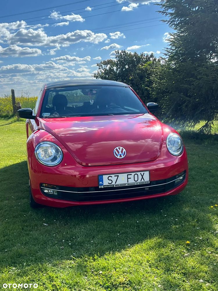 Volkswagen Beetle - 7