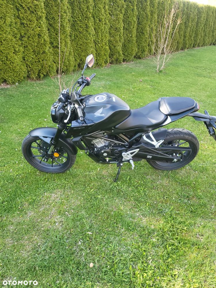 Honda CBF - 5