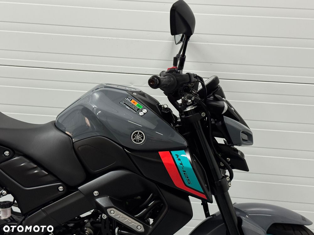 Yamaha MT - 4