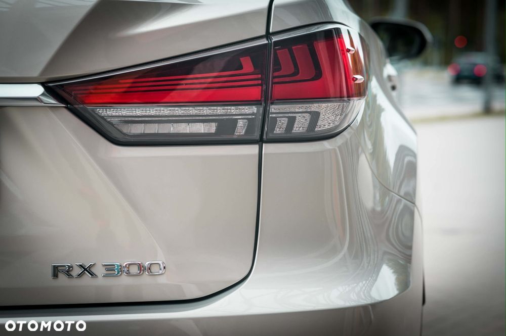 Lexus RX 300 Business Edition + - 11