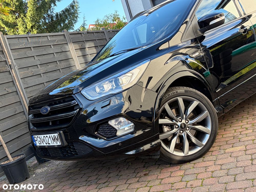 Ford Kuga 2019 photo 4