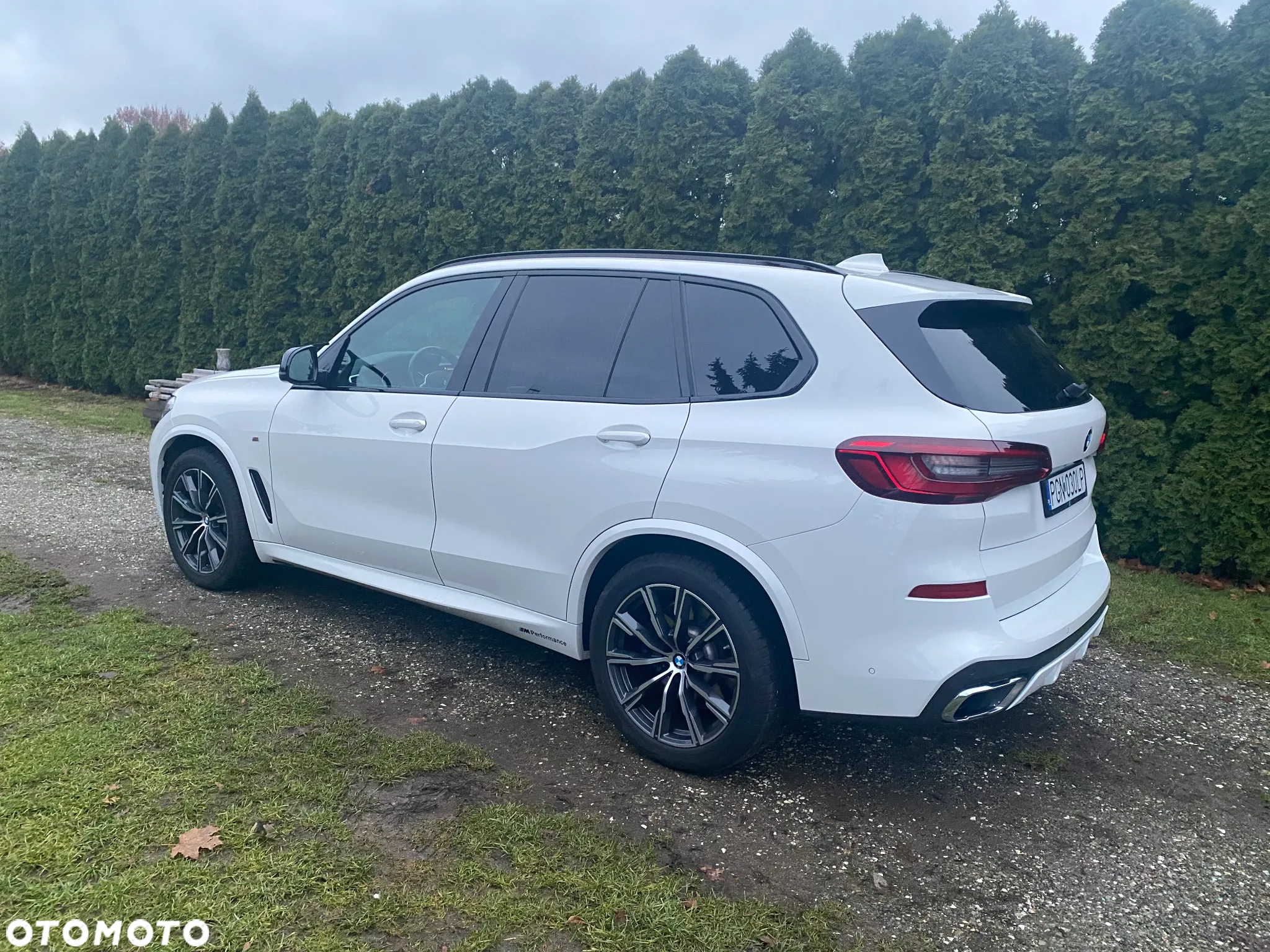 BMW X5 xDrive30d sport - 4