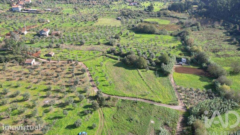 Terreno Agrícola em Podentes - Grande imagem: 5/25