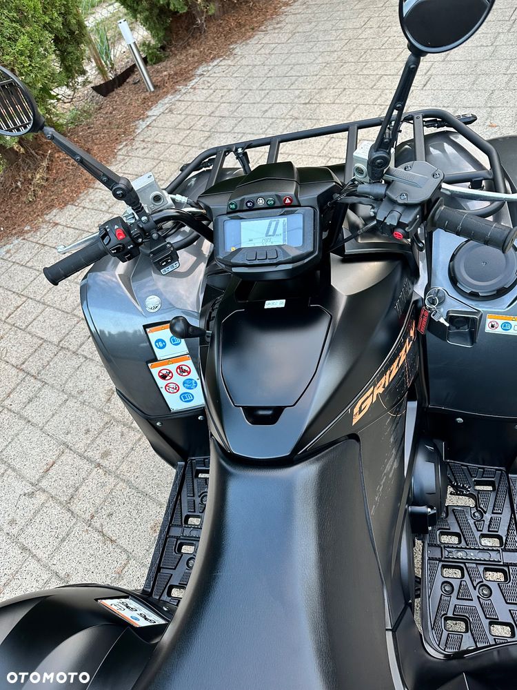 Yamaha Grizzly - 8