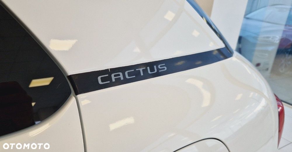 Citroën C4 Cactus 1.6 Blue HDi Feel Edition - 10