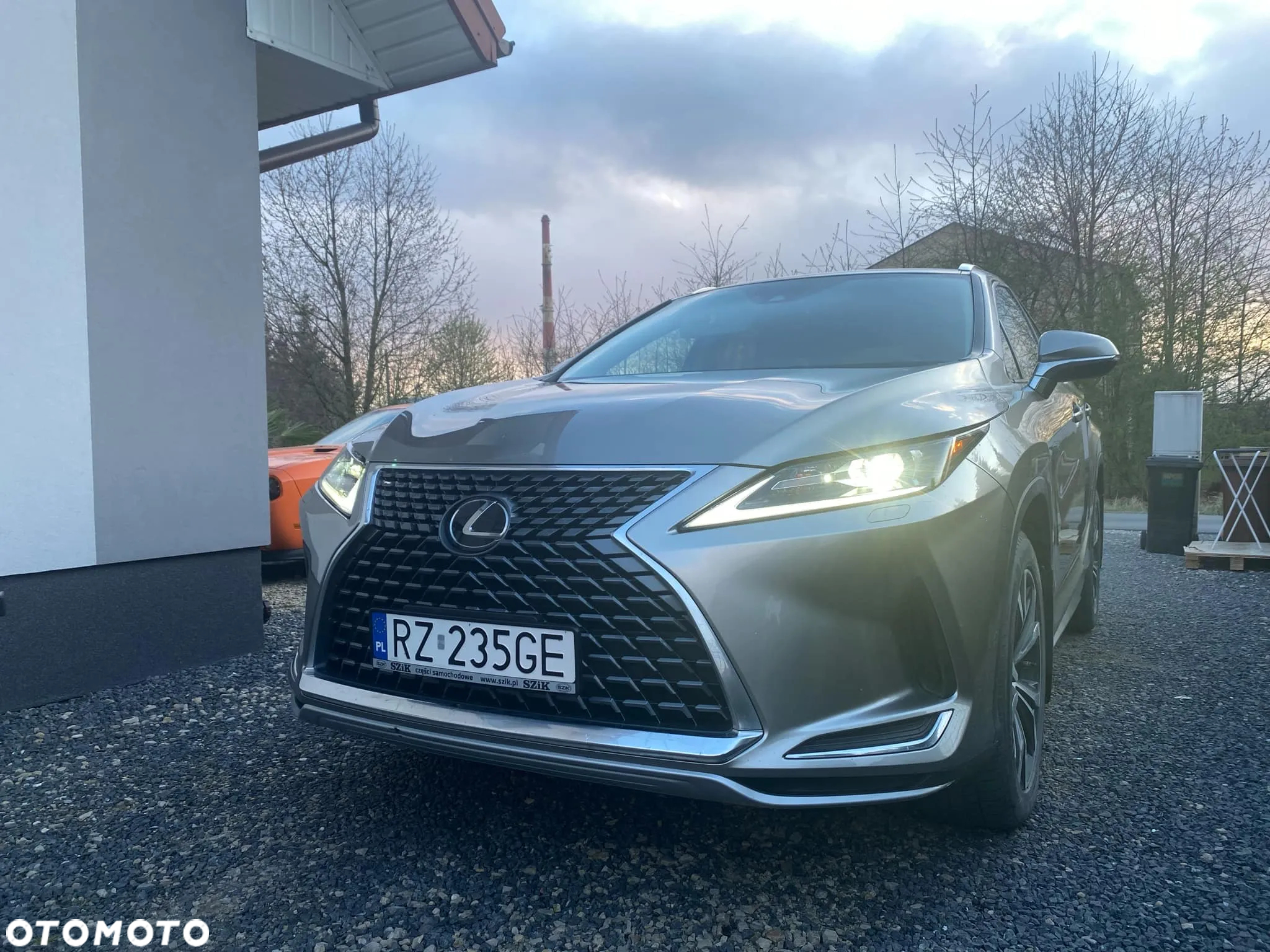 Lexus RX - 24