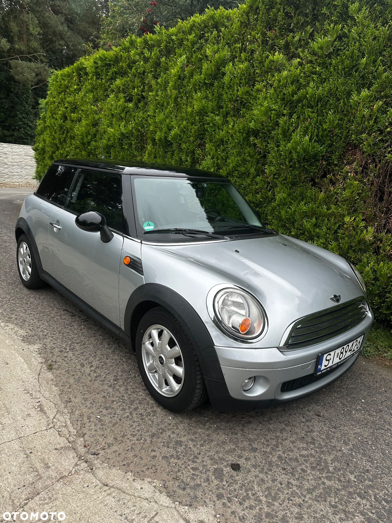MINI ONE Standard - 1