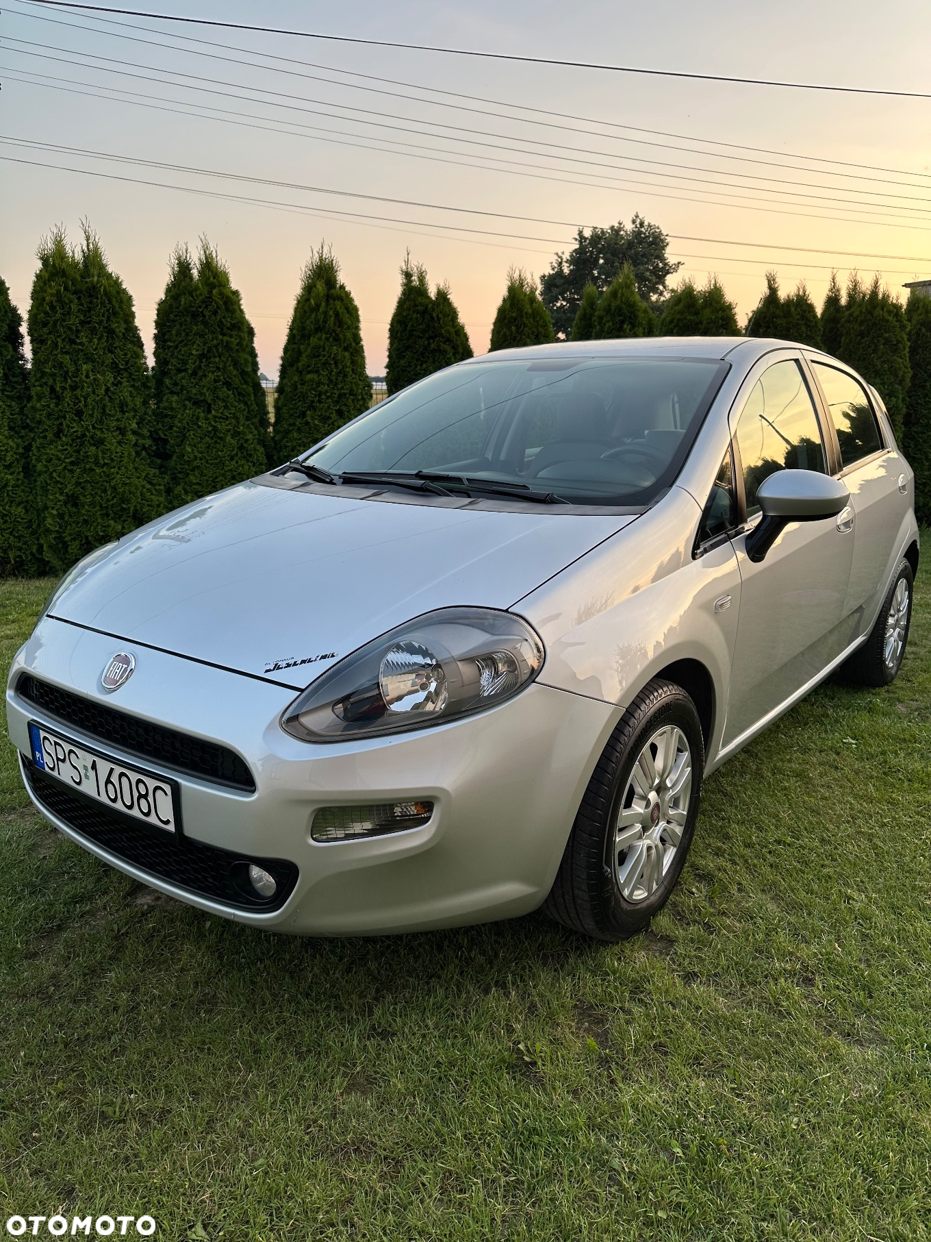 Fiat Punto - 3