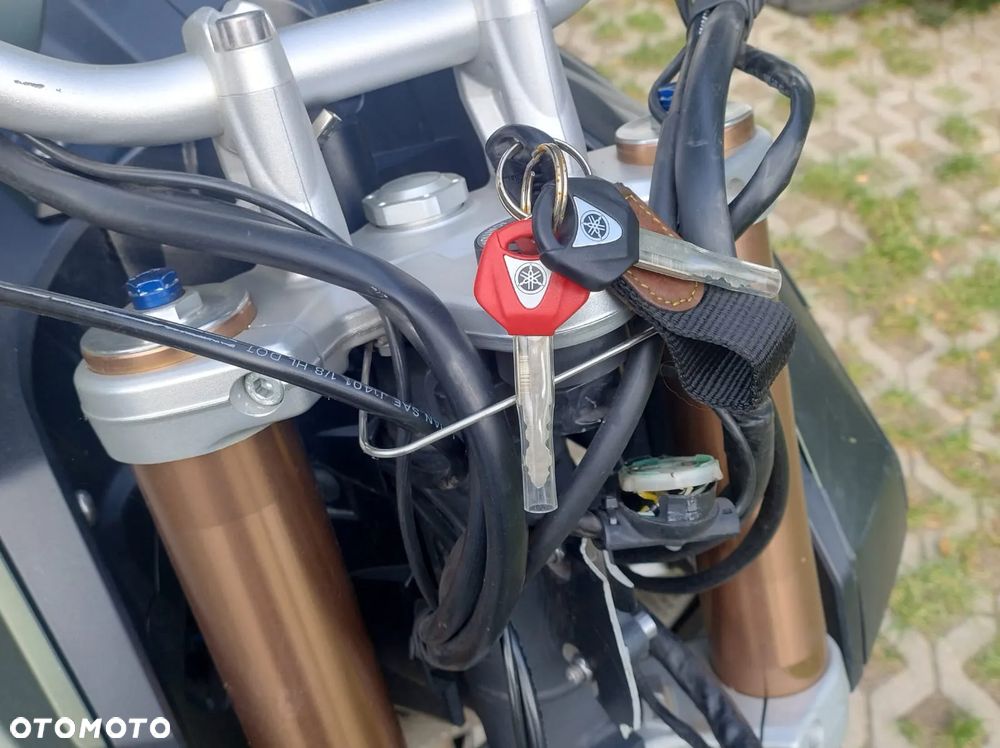 Triumph Tiger - 6