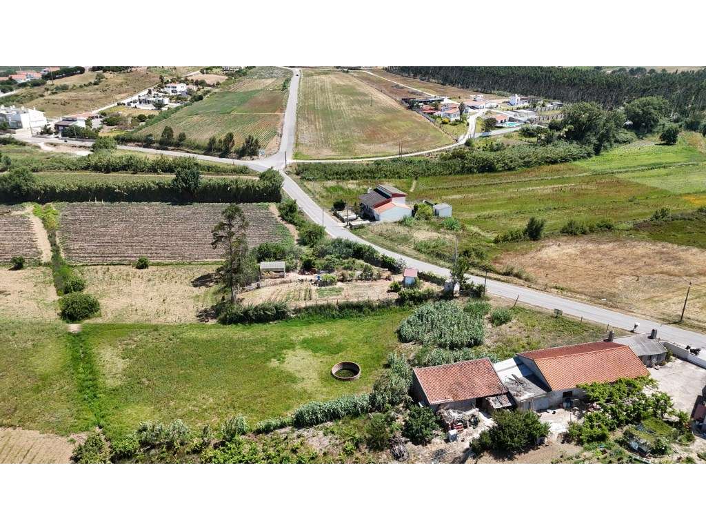 Terreno com 4.840m2, para venda, em Maceira - Grande imagem: 5/16