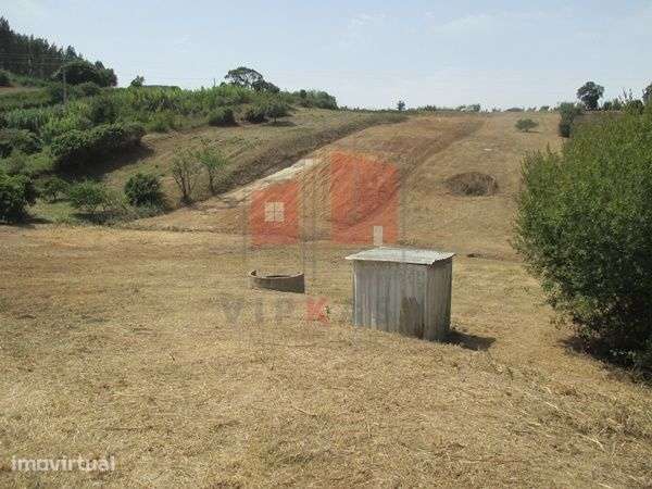 Terreno Rústico de 8062 m2 em Lombas – Gradil - Grande imagem: 5/11