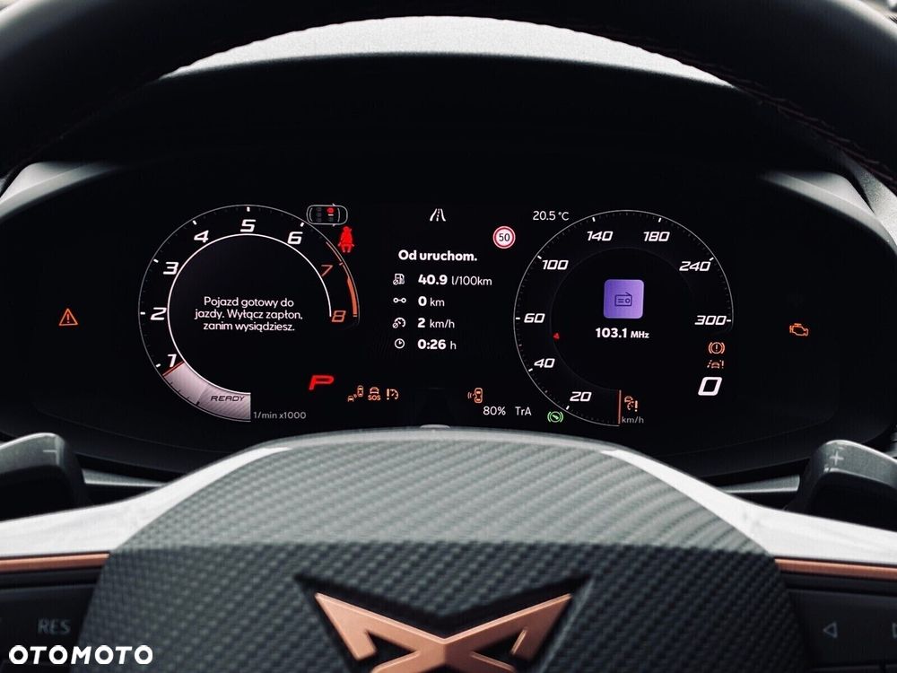 Cupra Terramar - 15