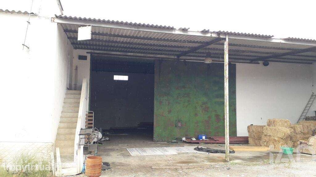 Quinta em Bacelo e Senhora da Saúde de 385 m2 - Grande imagem: 4/17