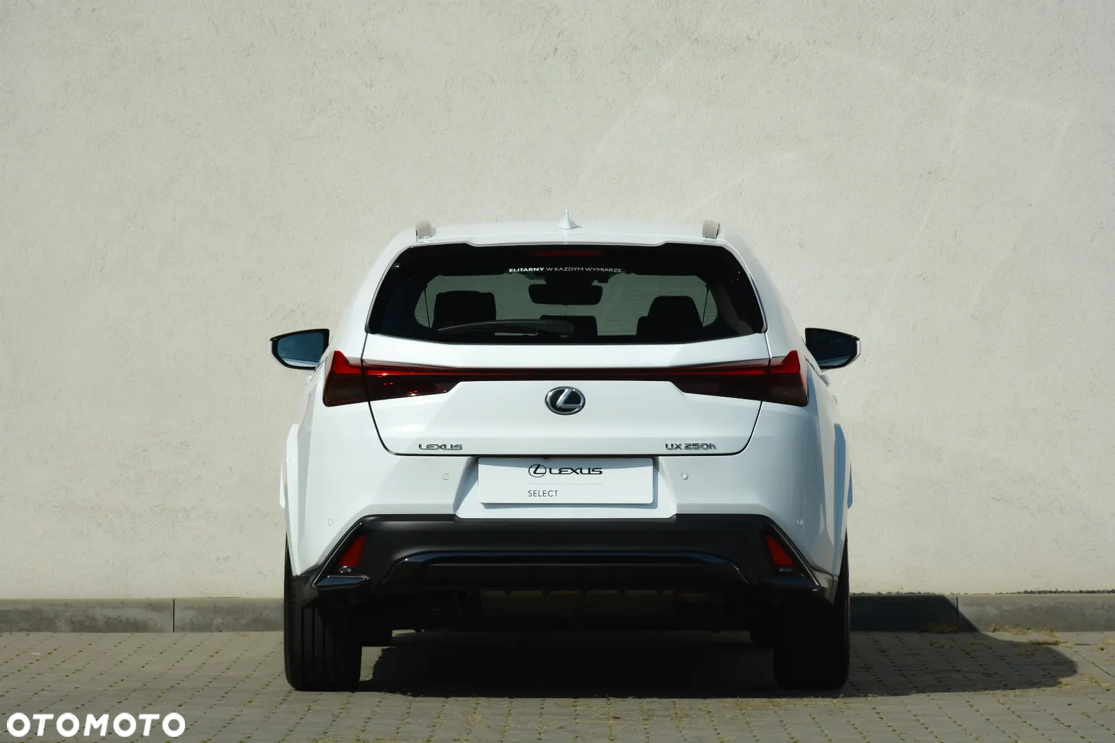 Lexus UX 250h GPF F Sport 2WD - 6