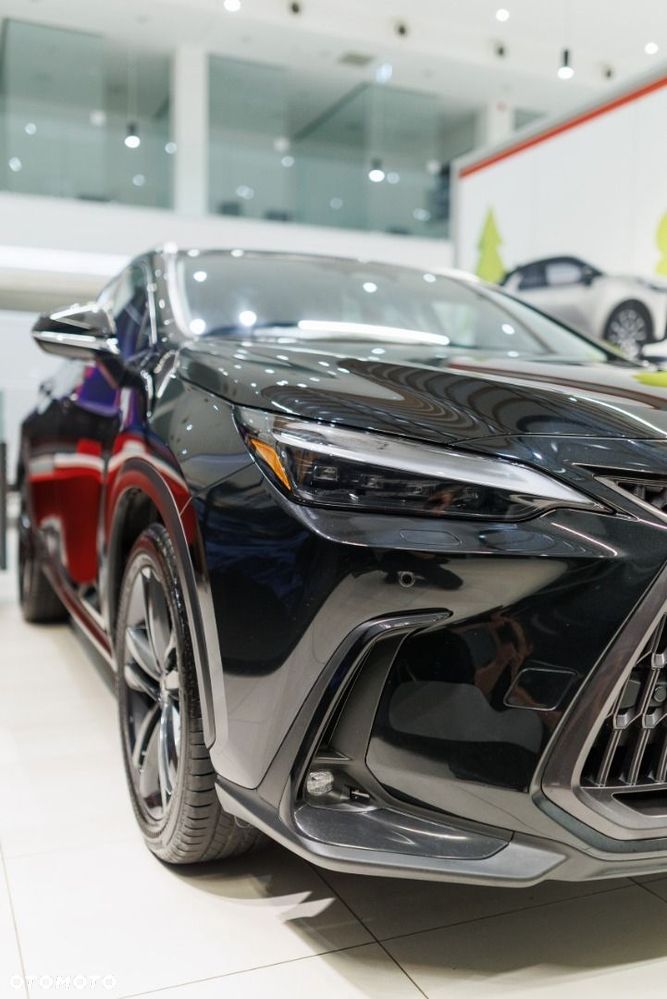 Lexus NX - 14