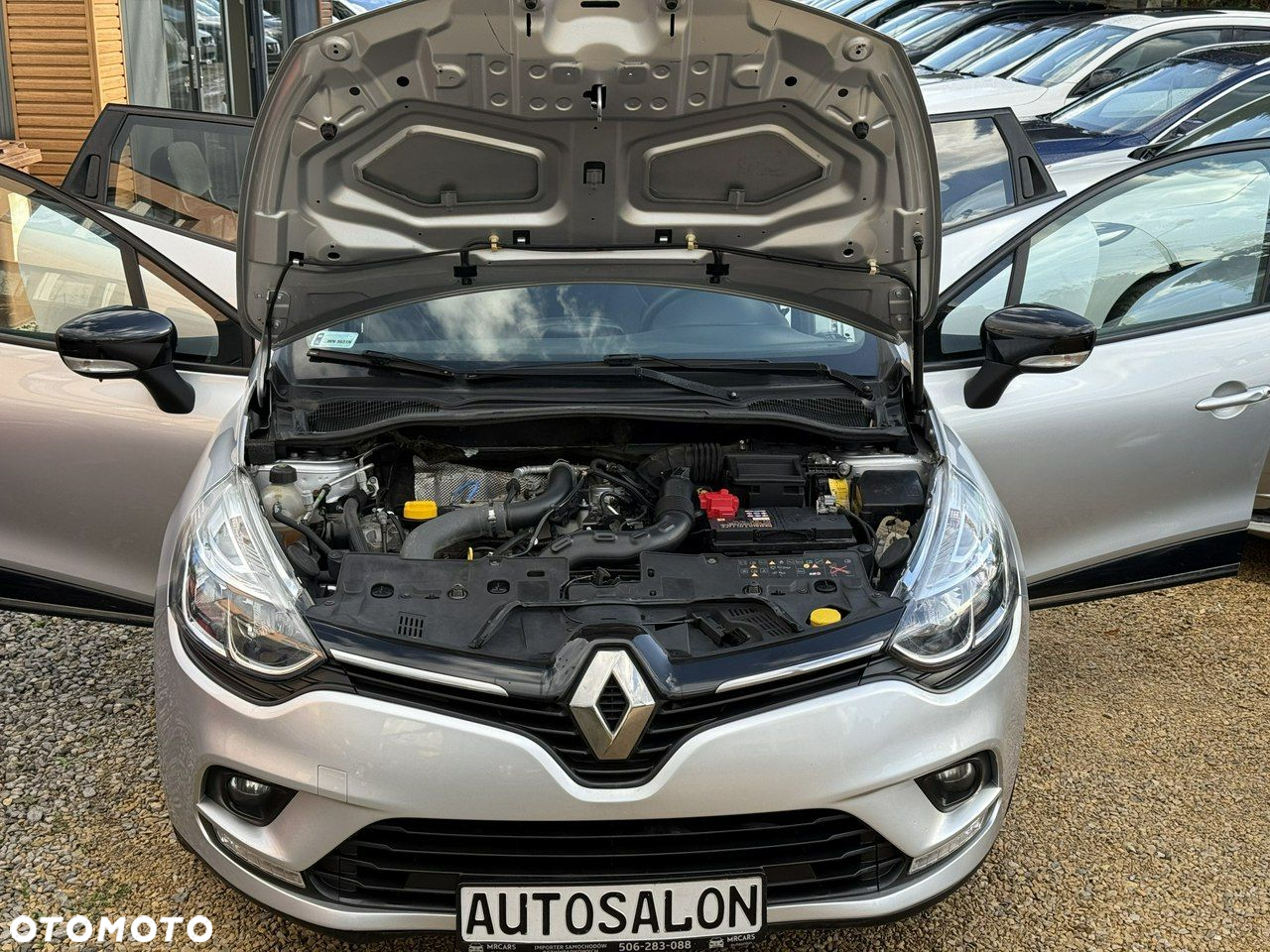 Renault Clio - 30