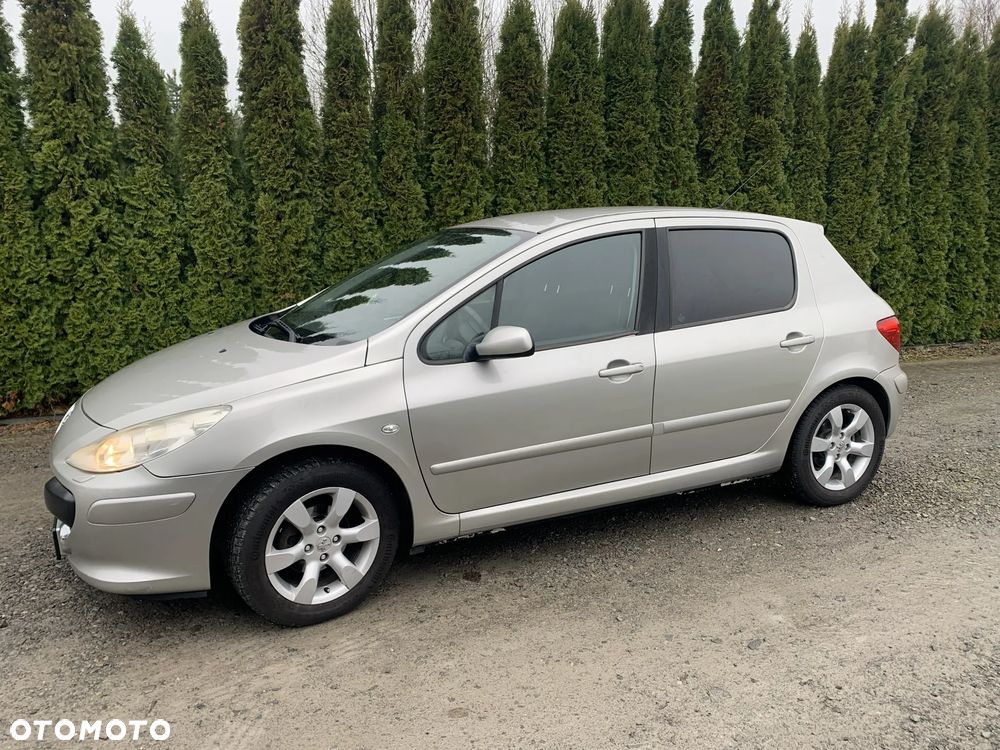 Peugeot 307 1.6 Premium - 7