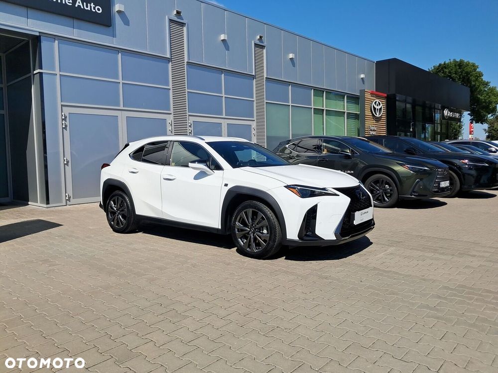 Lexus UX 300h F Sport Design AWD - 18