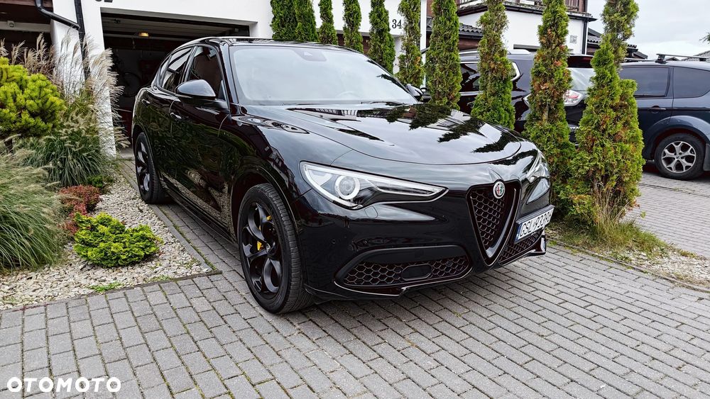 Alfa Romeo Stelvio 2.0 Turbo Veloce Q4 - 1