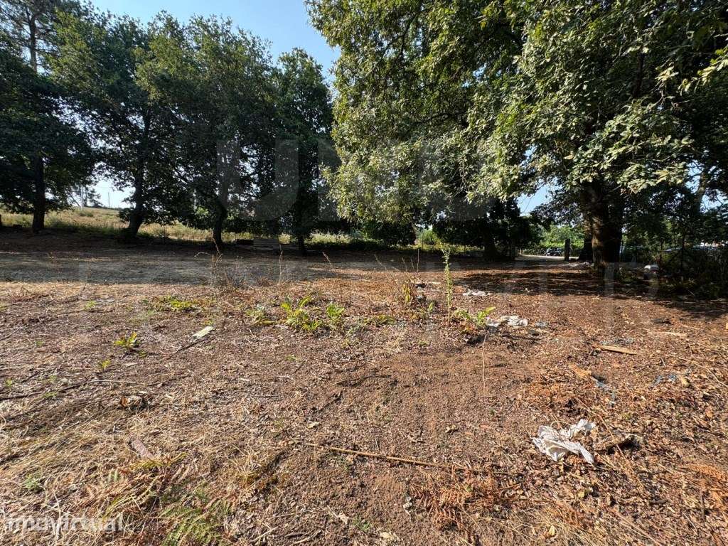 Terreno para construção em Cerdal, Valença - Grande imagem: 5/11