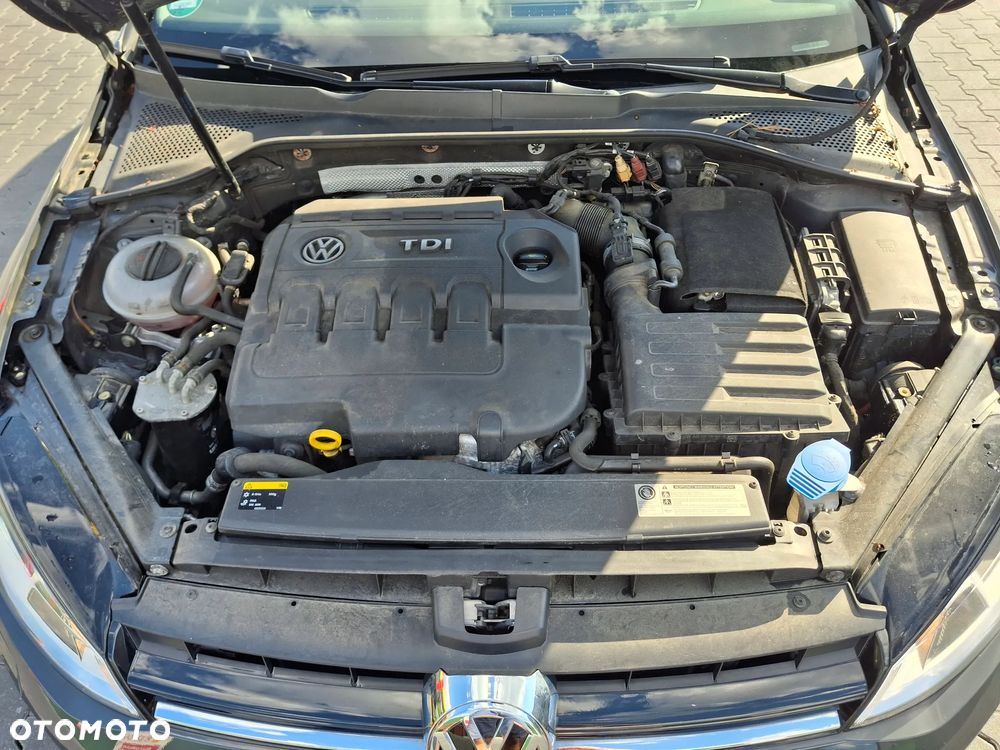 Volkswagen Golf 1.6 TDI BlueMotion Trendline - 13