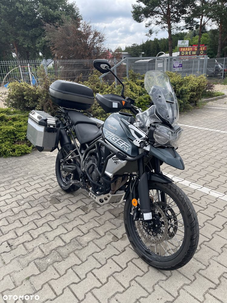 Triumph Tiger - 12