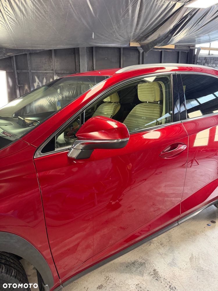 Lexus NX - 6