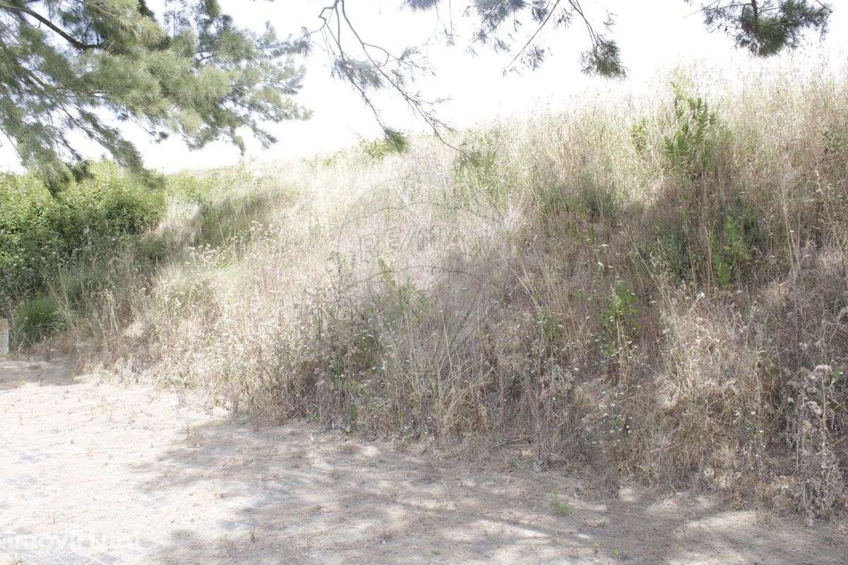 Terreno  para venda - Grande imagem: 3/5