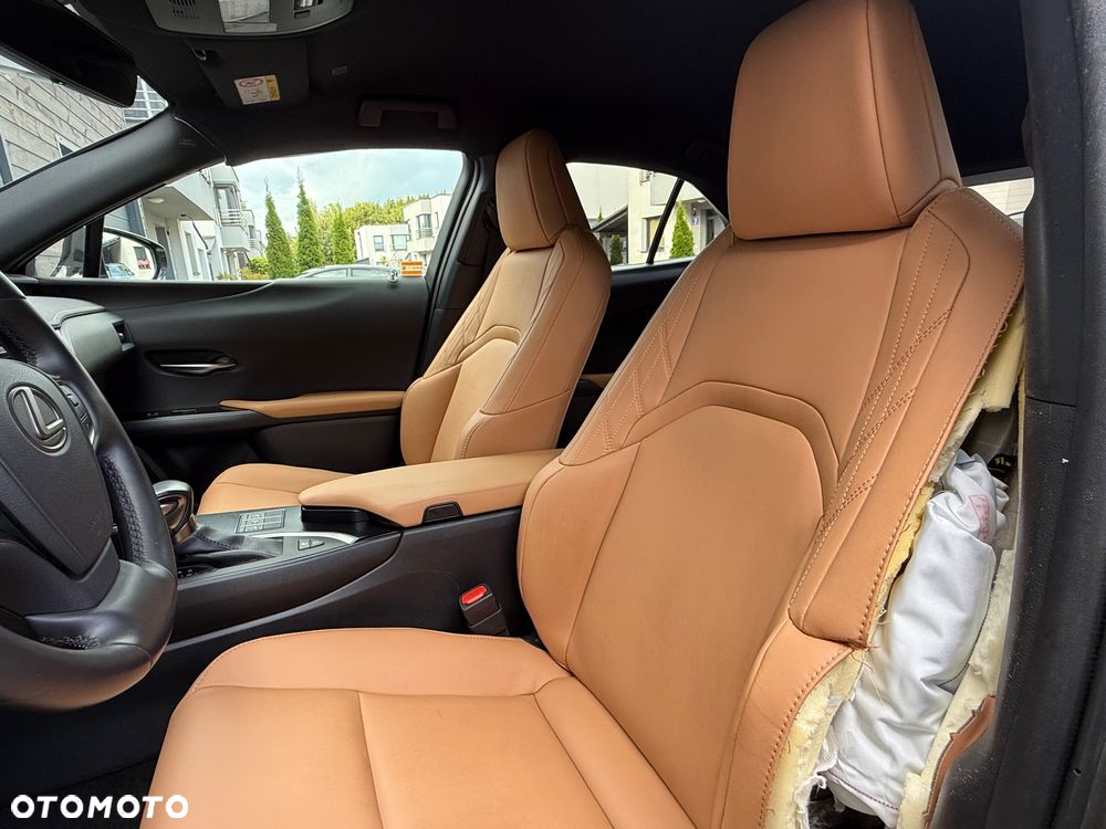 Lexus UX 250h GPF F Sport Design+ 2WD - 34