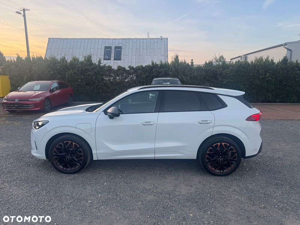 Cupra Terramar - 9