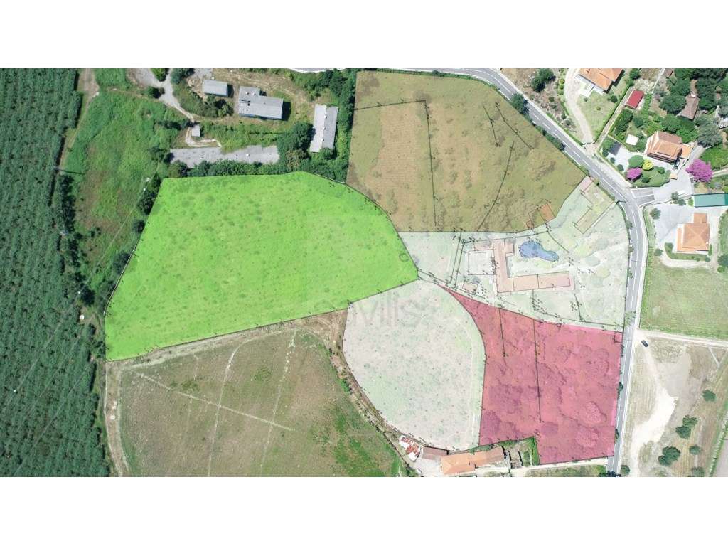 Quinta com moradia para reconstrução em Briteiros - Guimarães - Grande imagem: 5/5