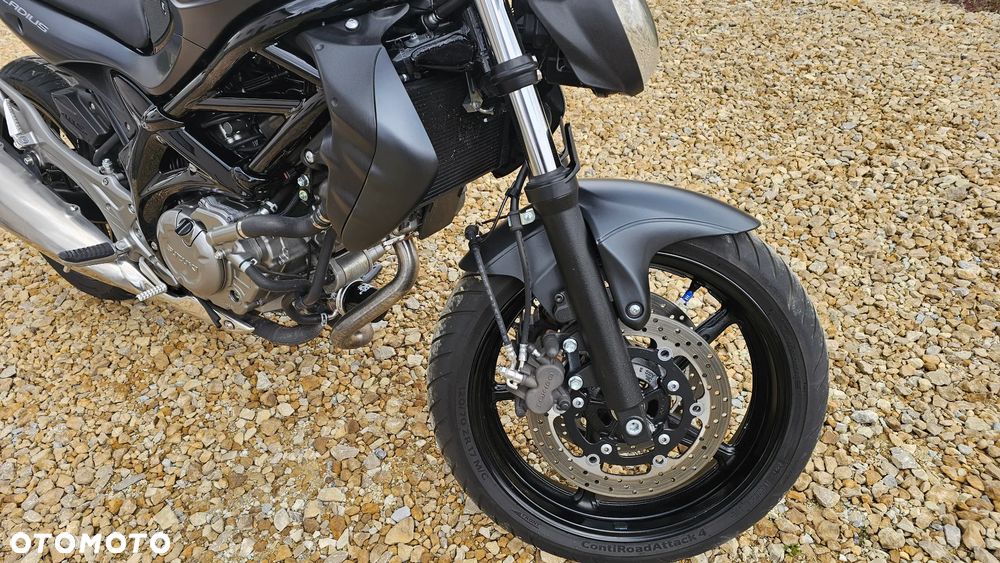 Suzuki Gladius - 25