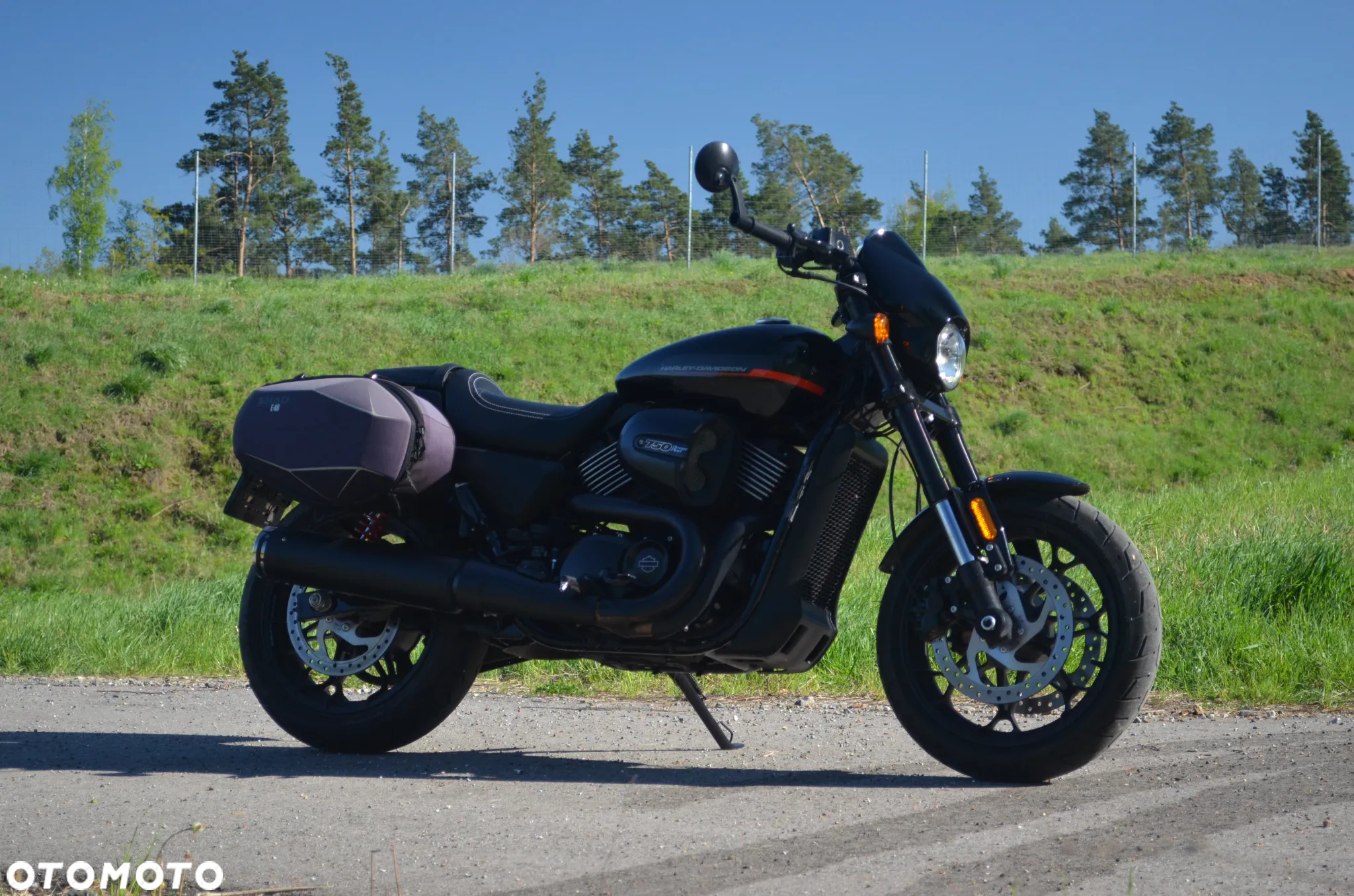 Harley-Davidson Street Rod XG 750A - 7